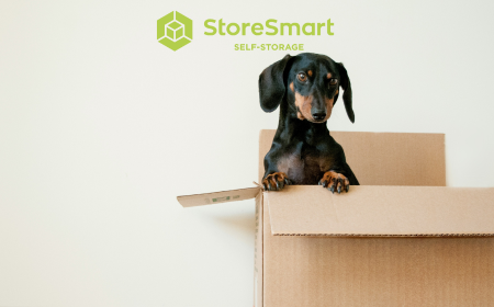 Preparing for Your Move: Essential Items for Self-Storage at StoreSmart